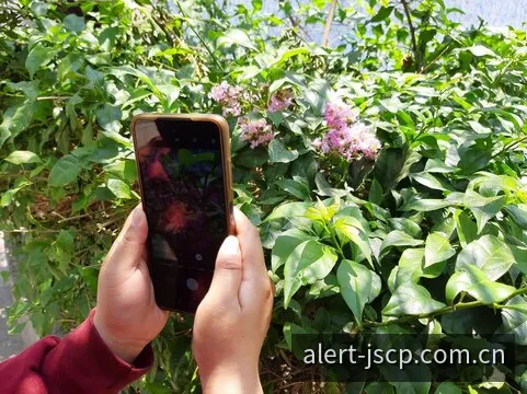 极速彩票网开奖时间表监测中心与飞行时间时钟分析